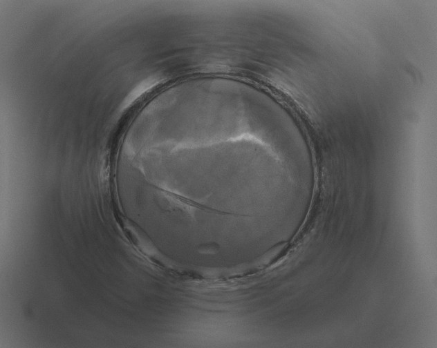 X0000116441450200912291919