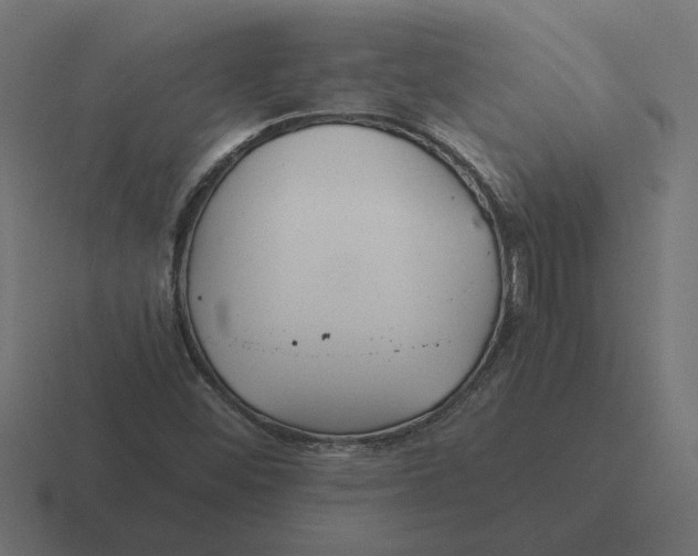 X0000116441452200912291919