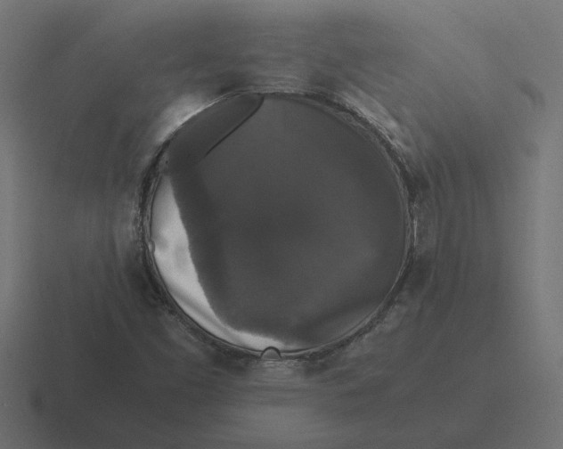 X0000116441453200912291919