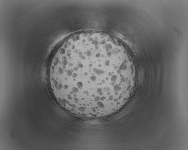 X0000116441454200912291919