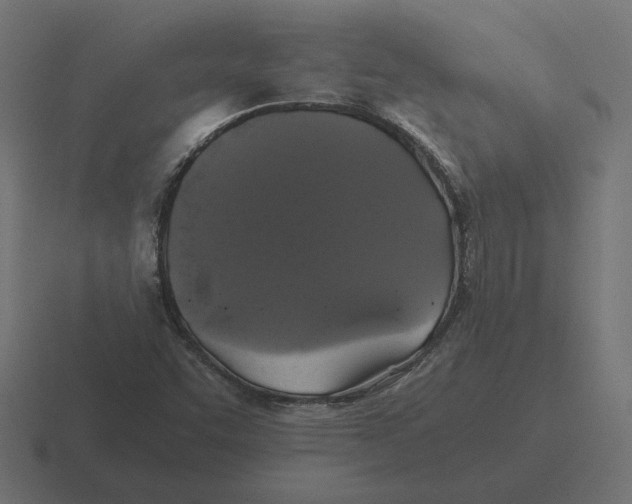X0000116441455200912291919