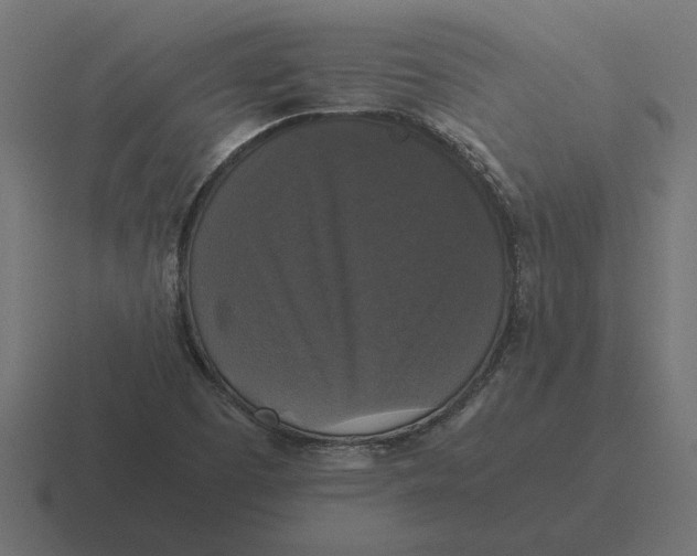 X0000116441457200912291918
