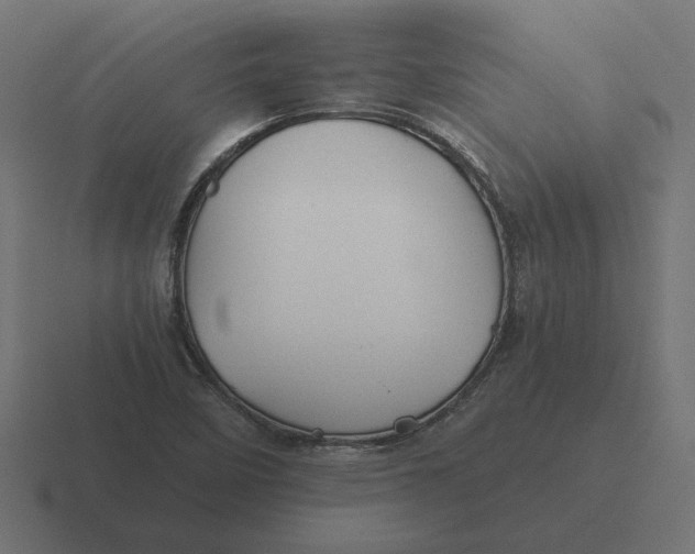 X0000116441458200912291918
