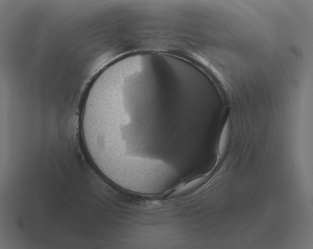 X0000116441459200912291918
