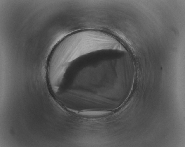 X0000116441463200912291918