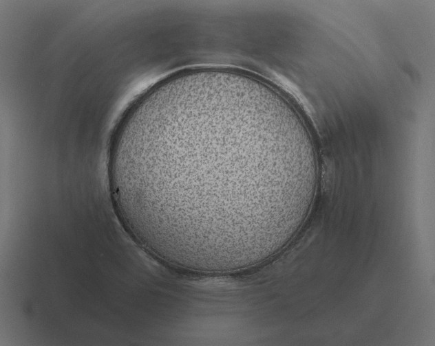 X0000116441464200912291918