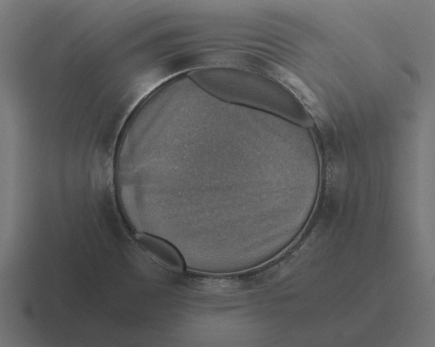 X0000116441465200912291918