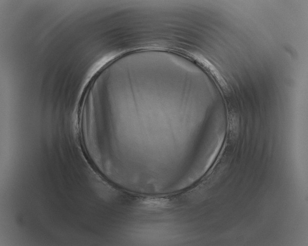 X0000116441466200912291918