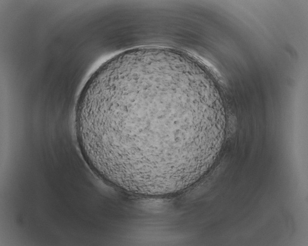X0000116441470200912291918