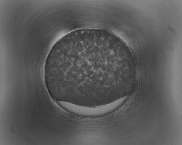 X0000116441471200912291918