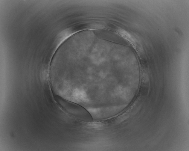 X0000116441473200912291918