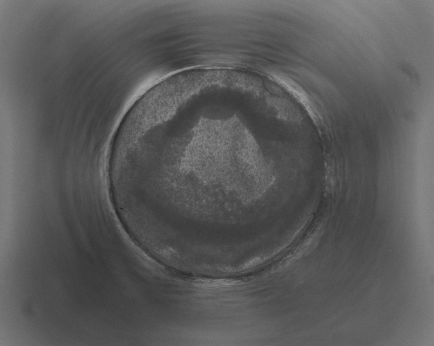 X0000116441475200912291918