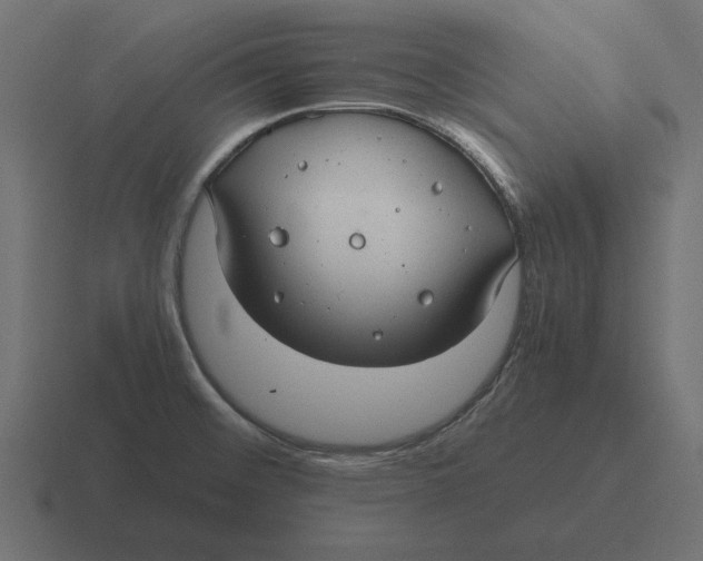 X0000116441476200912291918