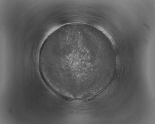 X0000116441477200912291918