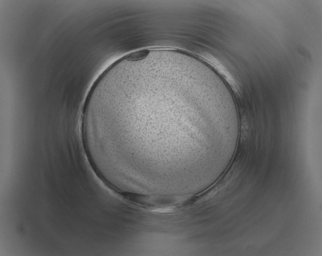 X0000116441484200912291918