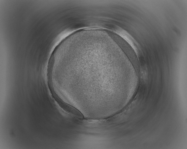 X0000116441485200912291918