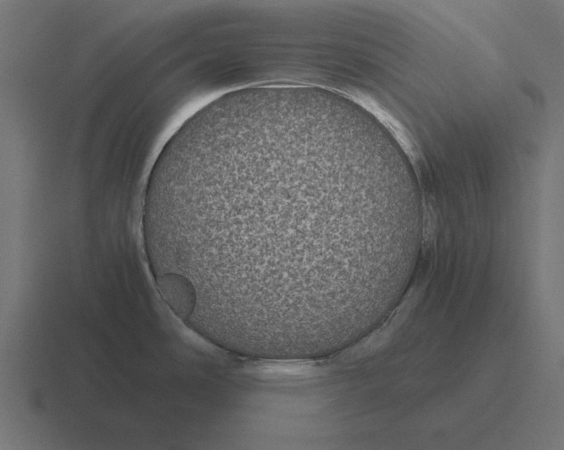 X0000116441486200912291918
