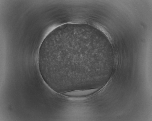 X0000116441487200912291918