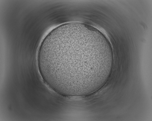 X0000116441488200912291918