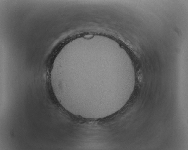 X0000116441495200912291918