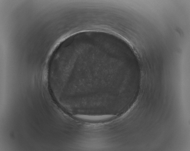 X0000116441506200912291918