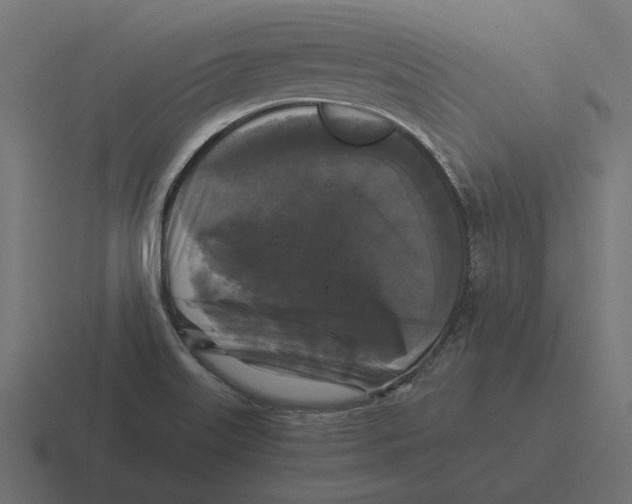 X0000116441515200912291918