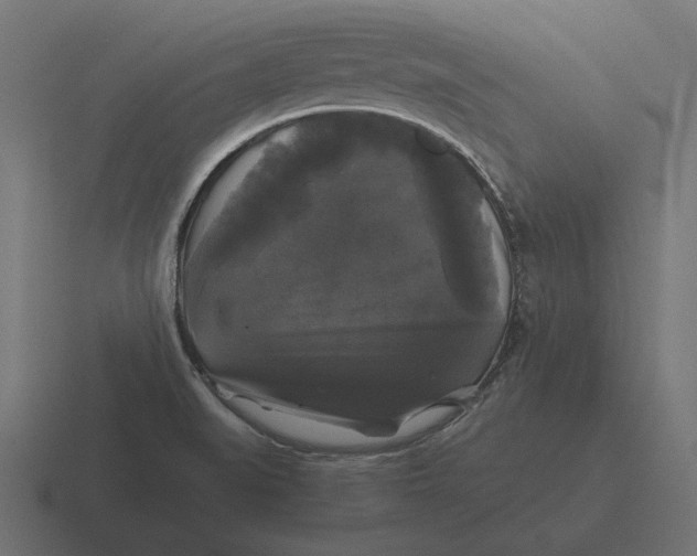 X0000116441519200912291918