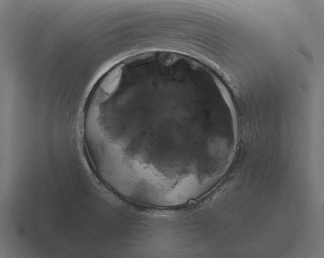 X0000116441522200912291918