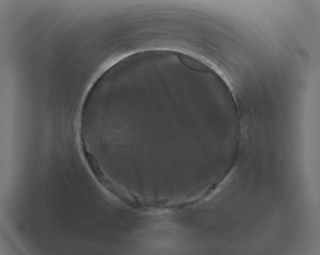 X0000116441525200912291918
