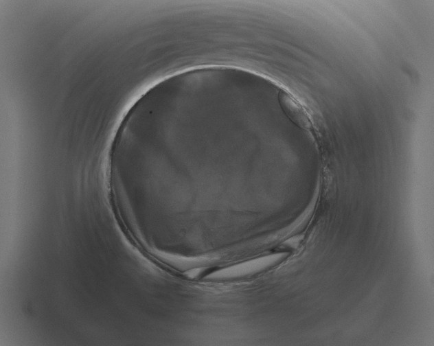 X0000116441527200912291918