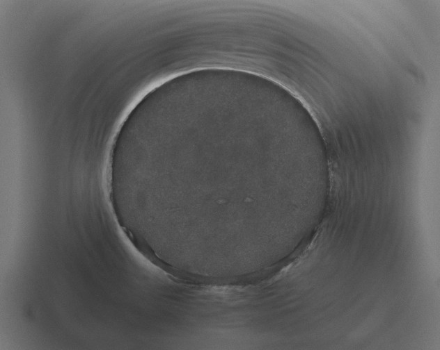 X0000116441531200912291918