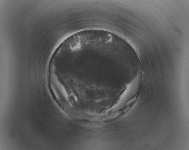 X0000116441533200912291918