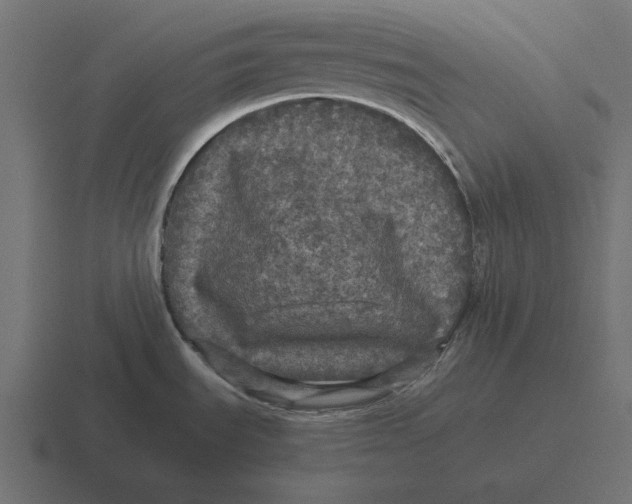 X0000116441535200912291918