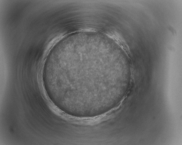 X0000116440001201001051214