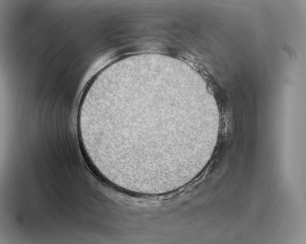 X0000116440004201001051214