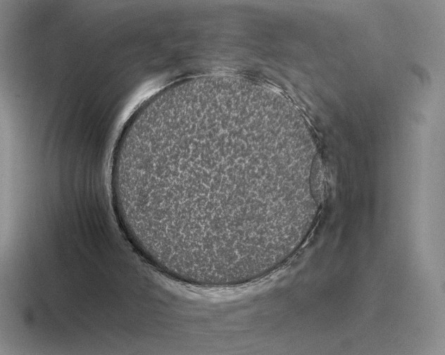 X0000116440006201001051214