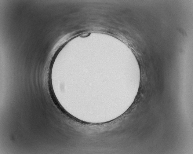 X0000116440007201001051214