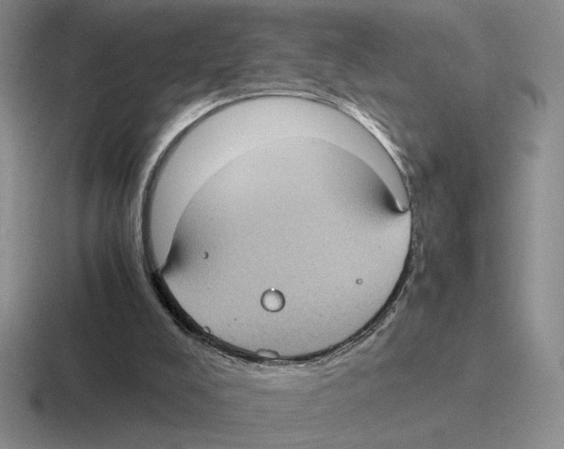 X0000116440008201001051214