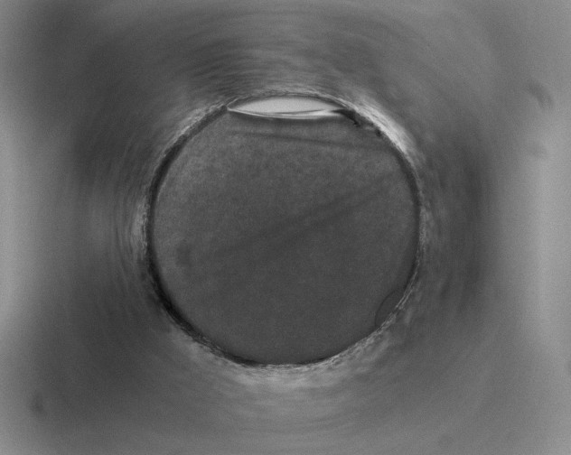 X0000116440009201001051214