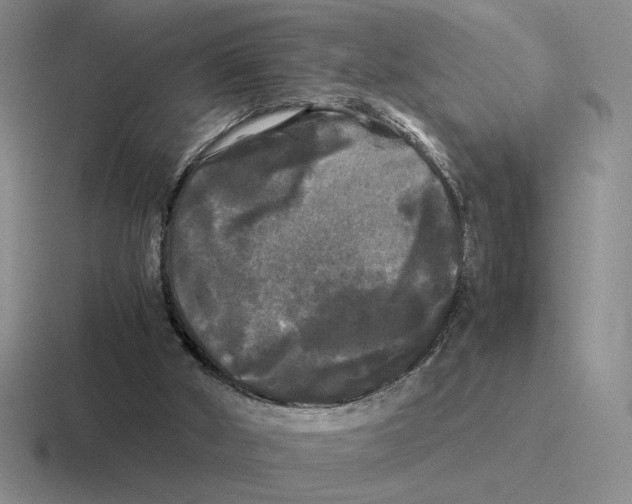 X0000116440010201001051214