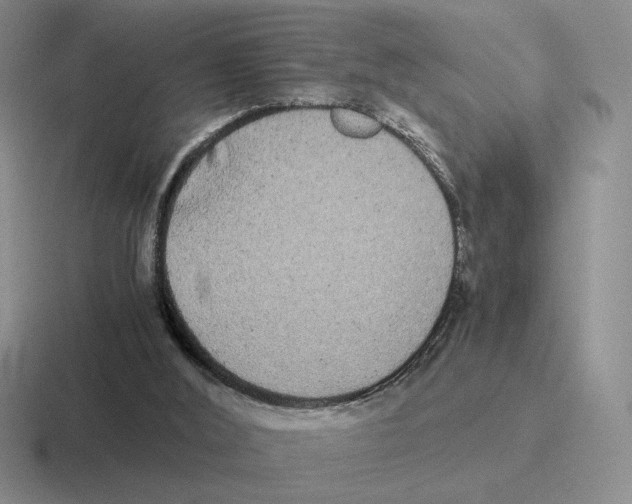 X0000116440012201001051213