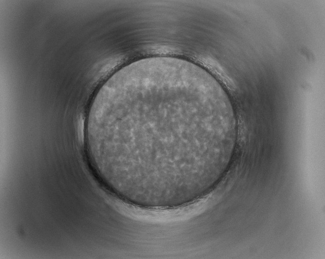 X0000116440014201001051213