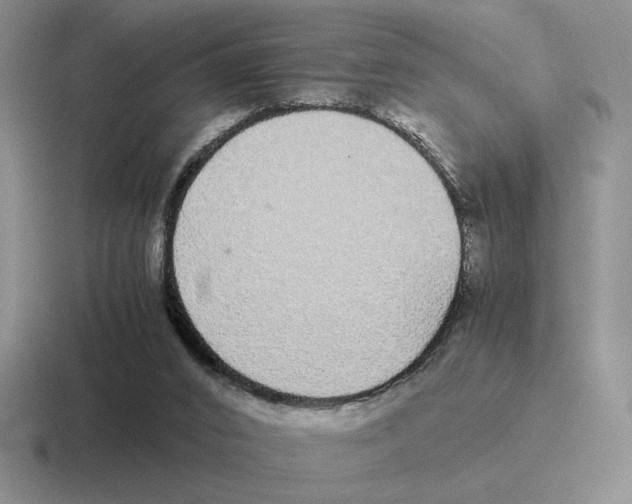 X0000116440016201001051213