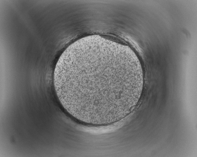 X0000116440017201001051213