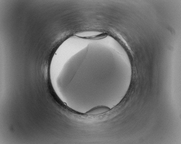 X0000116440019201001051213