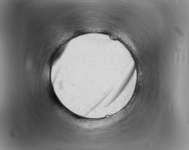 X0000116440021201001051213