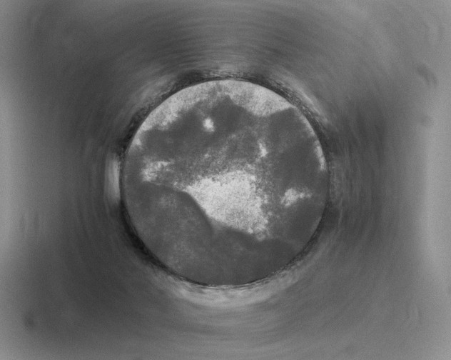 X0000116440022201001051213