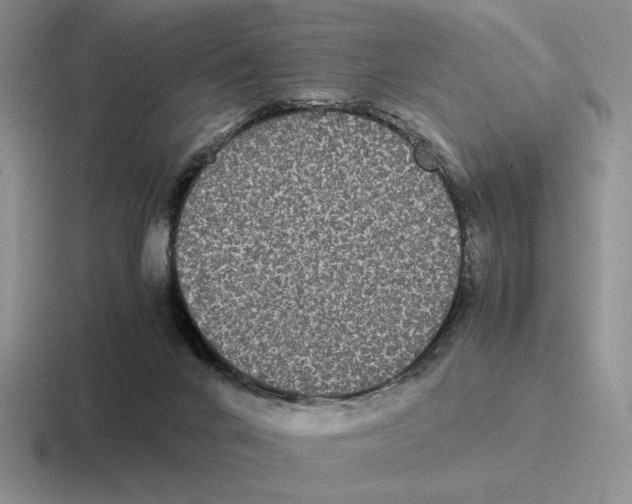 X0000116440024201001051213