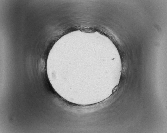 X0000116440025201001051213