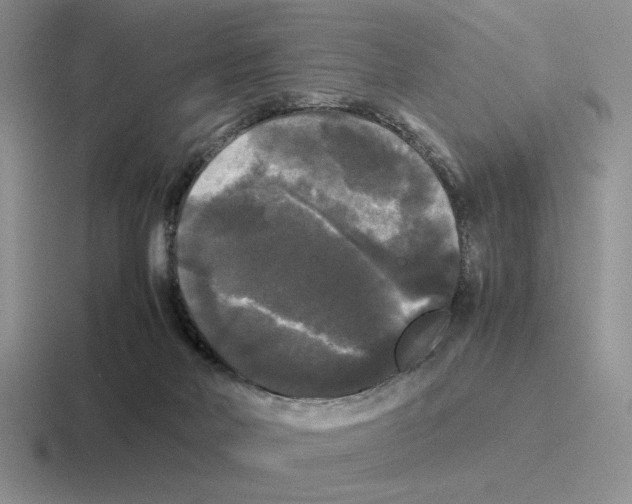 X0000116440026201001051213